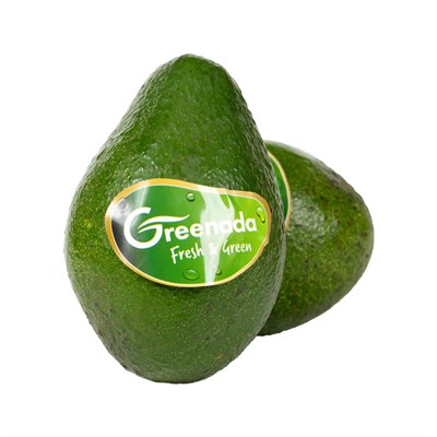 GreenadaAvokado Adet (Avocado)