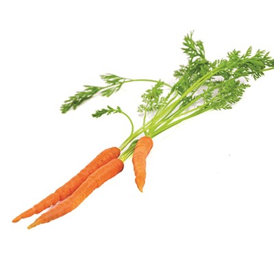 GreenadaMini Havuç ( Baby Carrot)