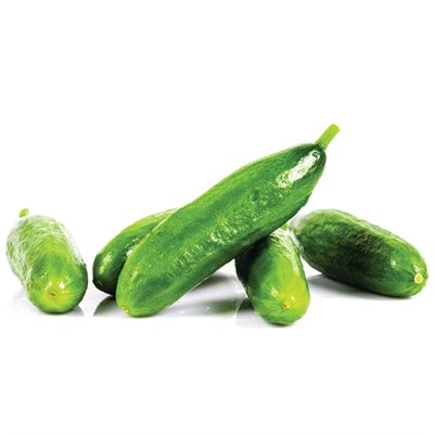 GreenadaMini Salatalık ( Baby Cucumber)
