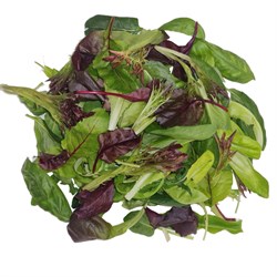 Ege Salatası 150 g