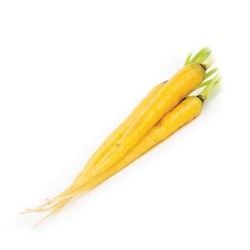 GreenadaSarı Havuç (Yellow  Carrot)